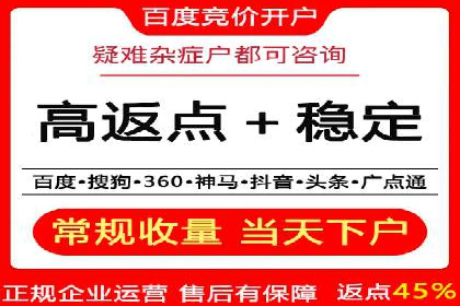 百度广告竞价之成功案例：某行业领军企业的崛起之路
